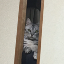更年期で辛い方いませんか〜？