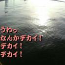 ありがとうございました(^-^)【7月14日締め切ります！】釣り...