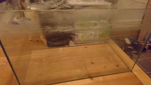 水槽