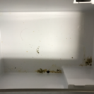 2011年製 三洋電機 冷蔵庫の画像