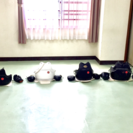 日本拳法みなべ道場生募集