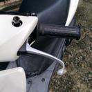 新古アドレスv125sの画像