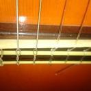 Playtech EC-600 SupruceTopAmber 中古・本体のみの画像