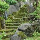 無料見積　庭木　剪定　伐採　草刈り　庭そうじ、冬囲い。庭 - 地元のお店