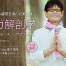【8/22】ヨガ解剖学：骨盤セラピーワークショップ