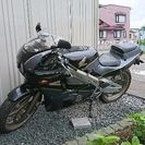 わいわい楽しみませんか？