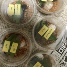 北海道産 ミヤマクワガタ、ノコギリクワガタ、カブトムシ（レッド個体ペアー）の画像