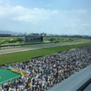 競馬仲間！（グルチャメンバー募集）