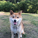 愛犬に関する“チョットした疑問”・“お悩み”･･･お気軽にご相談...