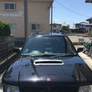 フォレスターsf5トミーカイラM20tbステージ1の画像