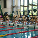 水泳 スイミング 教えますの画像