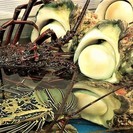 料理長候補募集!!　Iターン･Uターン歓迎!! 奄美大島で本格鉄板焼ＯＰＥＮの画像
