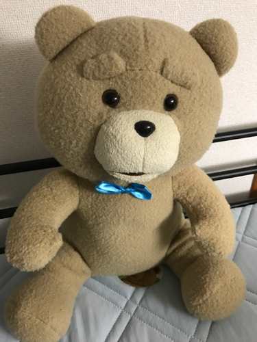 ☆値下げ☆テッドのぬいぐるみ