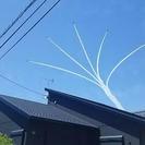 飛行機旅、教えて下さる方＆一緒に行って下さる方いませんか(^^;