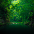 カメラ