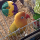 探しています！