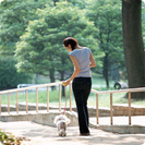 犬のお散歩友達募集してます。