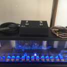 HUGHES&KETTNER Tube Meister 36 Head 30th &TM 112の画像