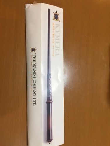 説明文必須！かなりレア！注目・ギャグ？魔法使いになれる学習リモコン！