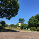 名古屋 マラソン初心者さん集まれ‼️