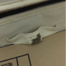 天然木☆チェストの画像