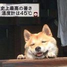 見ず知らずの引きこもりがちな人たちで思いきって集まって見ませんか？