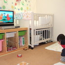 【急募】保育士募集！子連れもOK！の画像