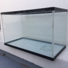 水槽譲ります。の画像