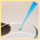 8月　理科実験教室　無料体験授業のお知らせの画像