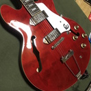 Epiphone CASINO (カジノ) セミハードケース、ストラップあり 埼京線 武蔵浦和〜赤羽区間で取引の画像