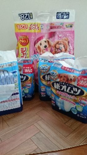 ペットシーツ、ペットオムツ