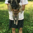 フワモコ姉妹( ◠‿◠ )