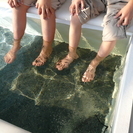 【土日のみでもOK】イベントスタッフ Fish Spa 時給１０００円