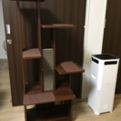 【美品半額】Petio necoco リビング用キャットタワーの画像