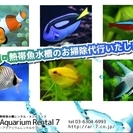 観賞魚水槽の管理・お掃除代行
