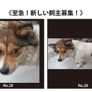 🔴🔴明日7月21日金曜日の朝8時半までが最終期限です。時間があり...