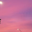 小金井市に越してきました - 友達