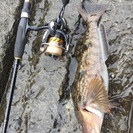 苫小牧釣り