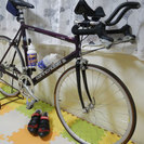 キャノンデール ロードバイク MULTISPORT800