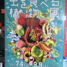 🌼食虫植物展🌼