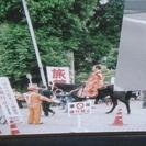 アルバイト警備員募集の画像
