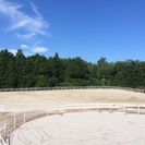馬のお世話に挑戦！おしごと体験やってみよう～