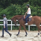 馬のお世話に挑戦！おしごと体験やってみよう～の画像