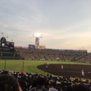 甲子園 25日