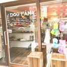 ドッグカフェ　OPEN！！