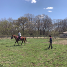 体験乗馬！！お子様もOK!!!の画像