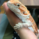 話し相手