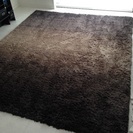 グラデーション カーペットの画像