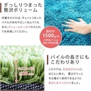 グラデーション カーペットの画像