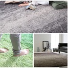 グラデーション カーペットの画像